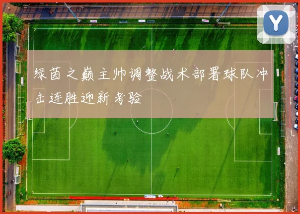 绿茵之巅主帅调整战术部署球队冲击连胜迎新考验