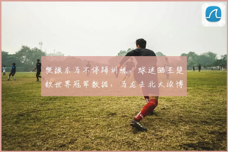 樊振东马不停蹄训练,球迷晒王楚钦世界冠军数据,马龙去北大读博