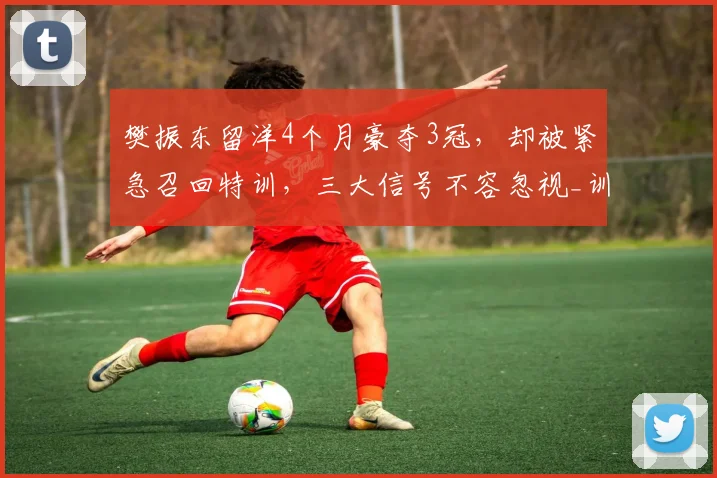 樊振东留洋4个月豪夺3冠,却被紧急召回特训,三大信号不容忽视_训练基地_比赛_上海体育局
