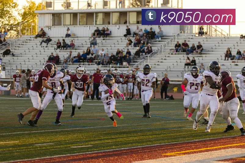 国际pg平台入口平台生态图